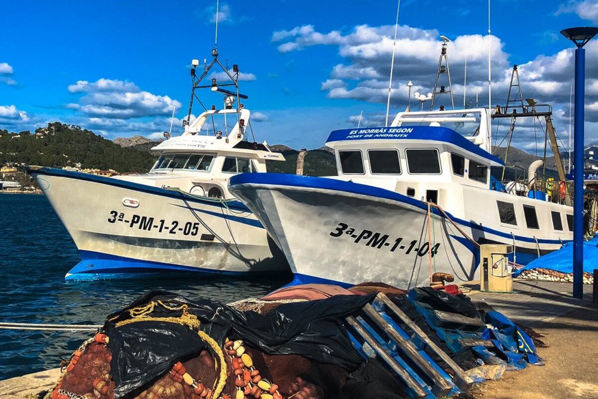 Port d'Andratx, 