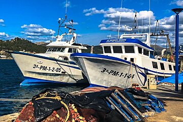 Port d'Andratx,
