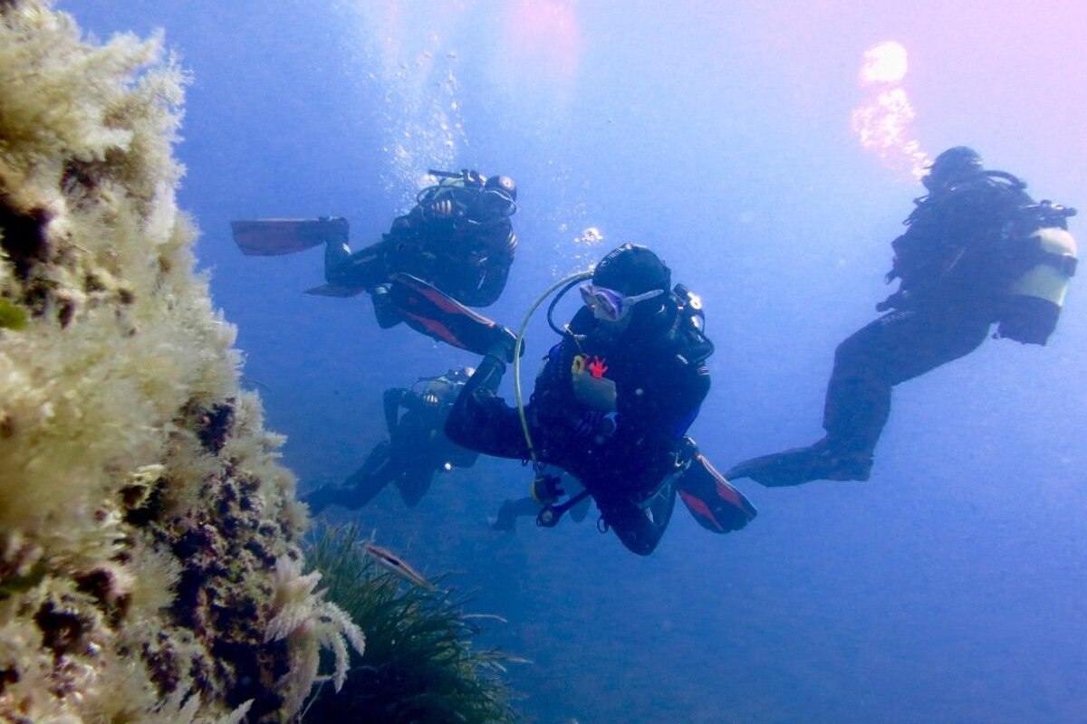 Soller Divers Diving Courses, Port de Soller