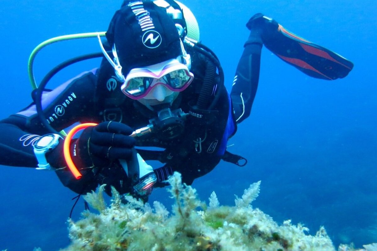 PADI Discover Scuba Diving Course