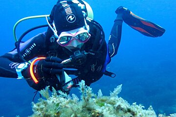 Soller Divers Diving Courses, Port de Soller