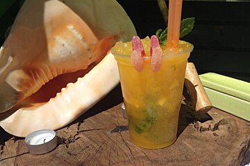 a shell & cocktail drink at a fair in Palma