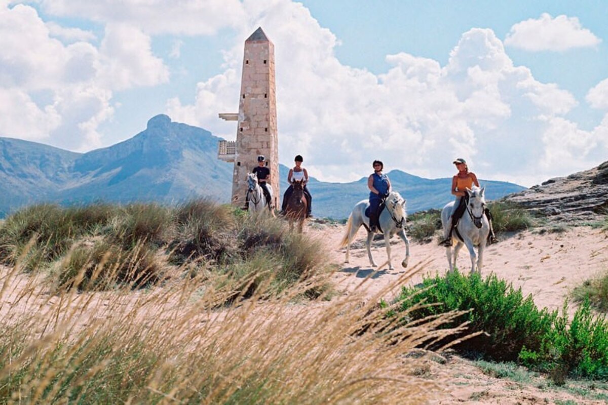 Son Menut Horse Riding Centre, Felanitx
