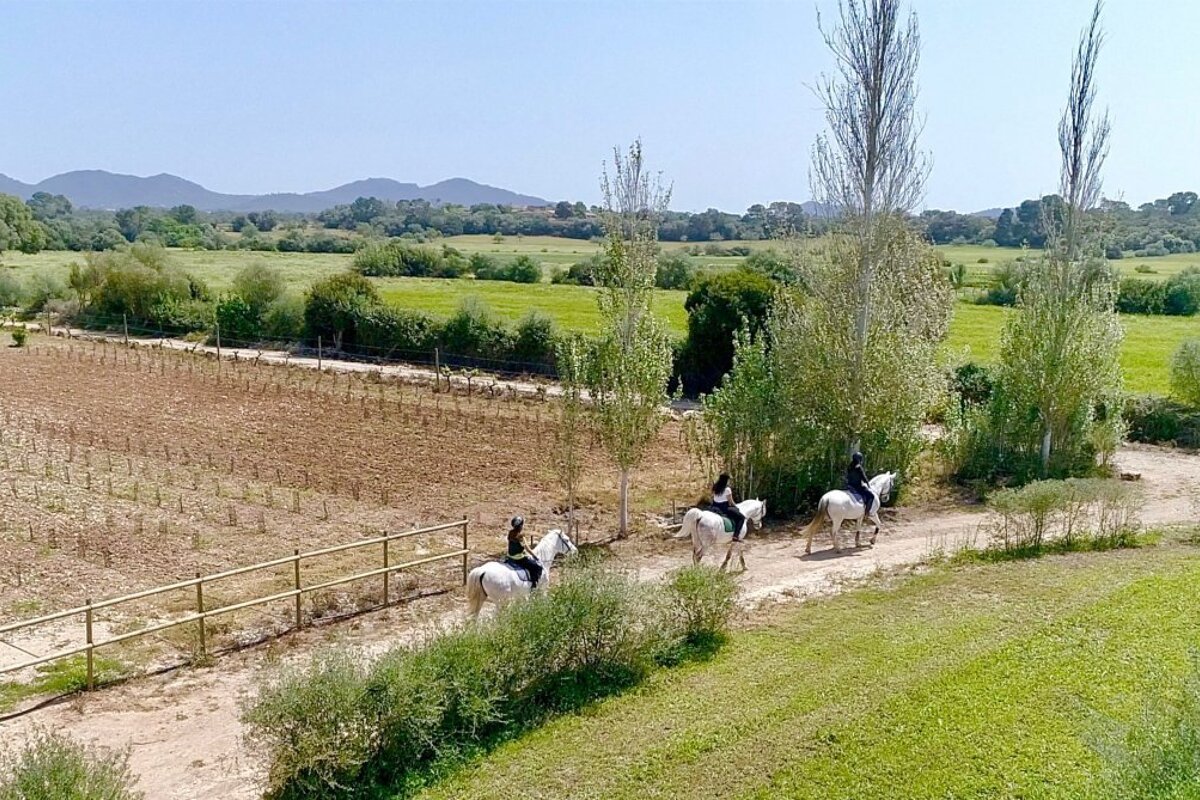 Son Menut Horse Riding Centre, Felanitx