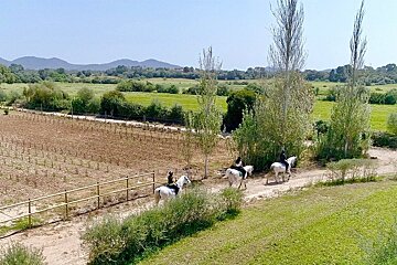 Son Menut Horse Riding Centre, Felanitx