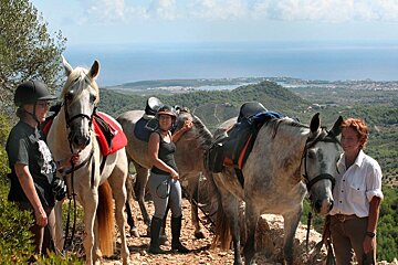 Son Menut Horse Riding Centre, Felanitx