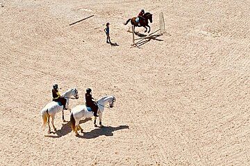 Son Menut Horse Riding Centre, Felanitx