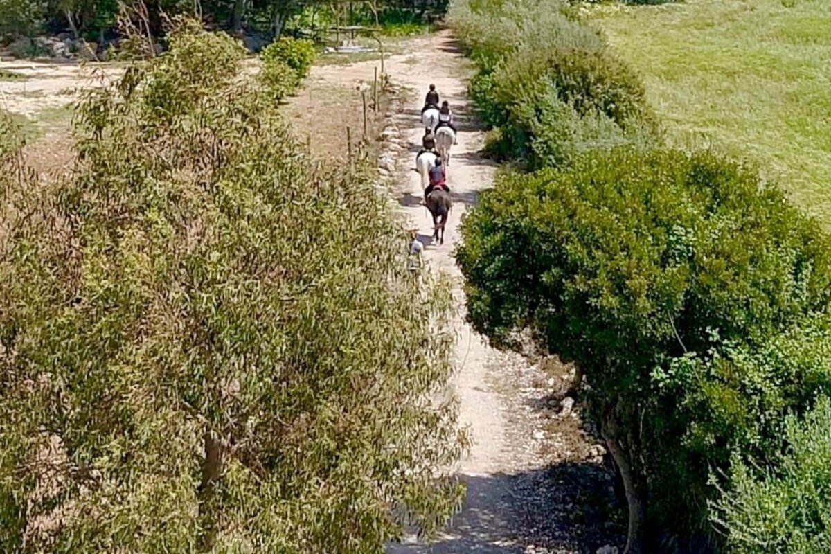 Son Menut Horse Riding Centre, Felanitx