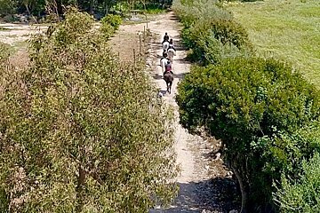 Son Menut Horse Riding Centre, Felanitx