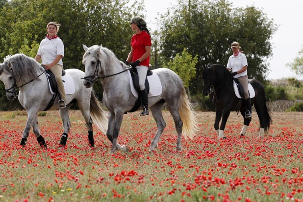 Son Menut Horse Riding Centre, Felanitx