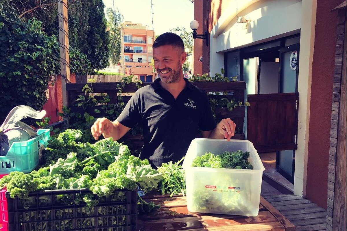 The Olive Tree Restaurant, Palma Nova