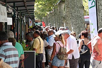 people milling around stalls long a tree lined street