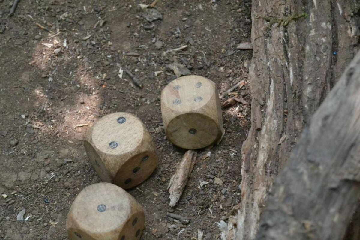 La Foret des Jeux, near Pont St Esprit