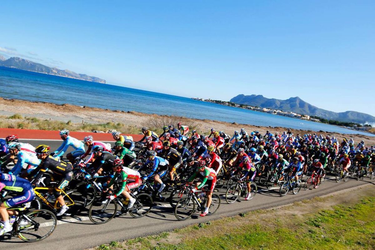 Cyclists passing a coastal road in mallorca