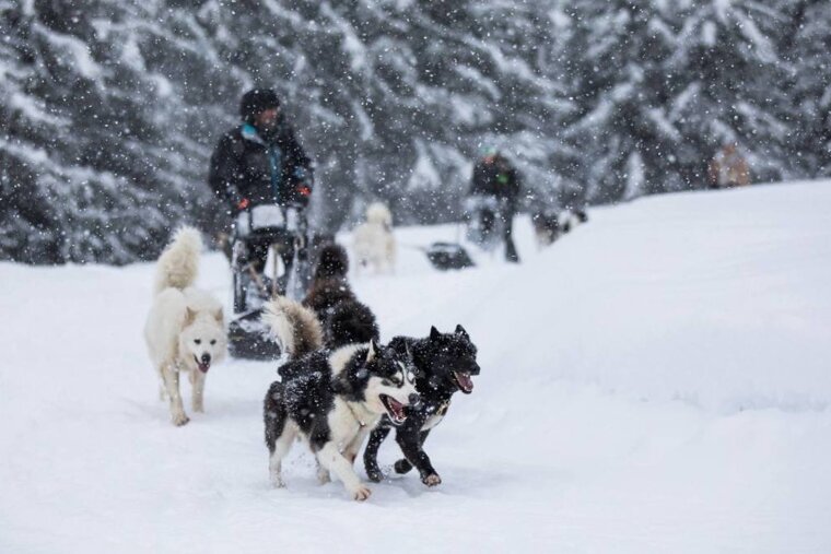What's On in Les Arcs March 2018