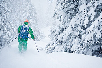 skiing away through the trees