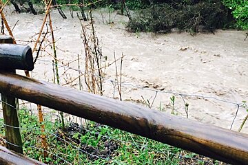 high waters in the river