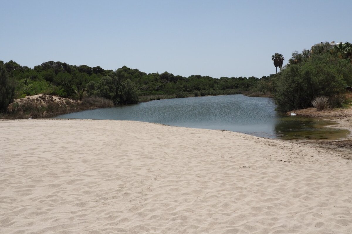 a small river behind a beach in mallorca