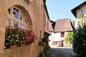 tremolat buildings with flowers