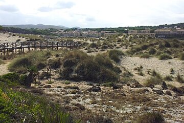 a walkway over sand dunes at a beach in mallorca