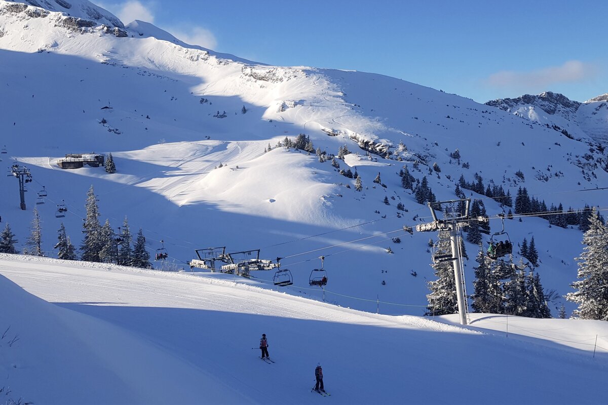 Morzine Dump Alert - 5th February 2020