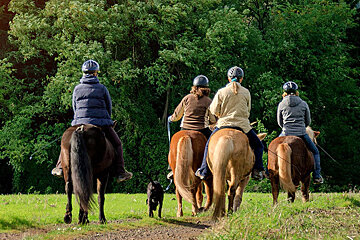 A group of people are riding horses in a field