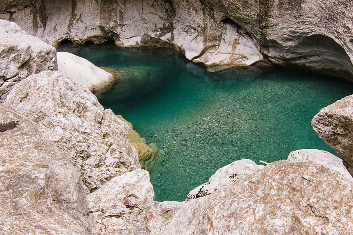 A pool of water surrounded by rocks and a few plants