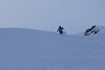 a skier over a brown in snow