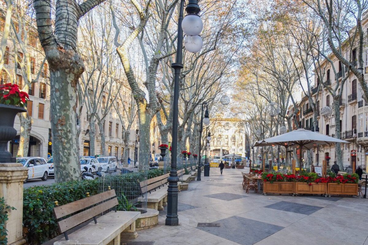 Passeig des Born, Palma de Mallorca