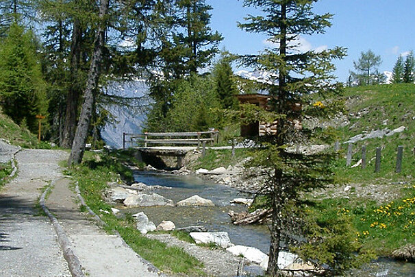 A wooden bridge over a stream in the woods