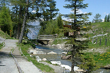 A wooden bridge over a stream in the woods