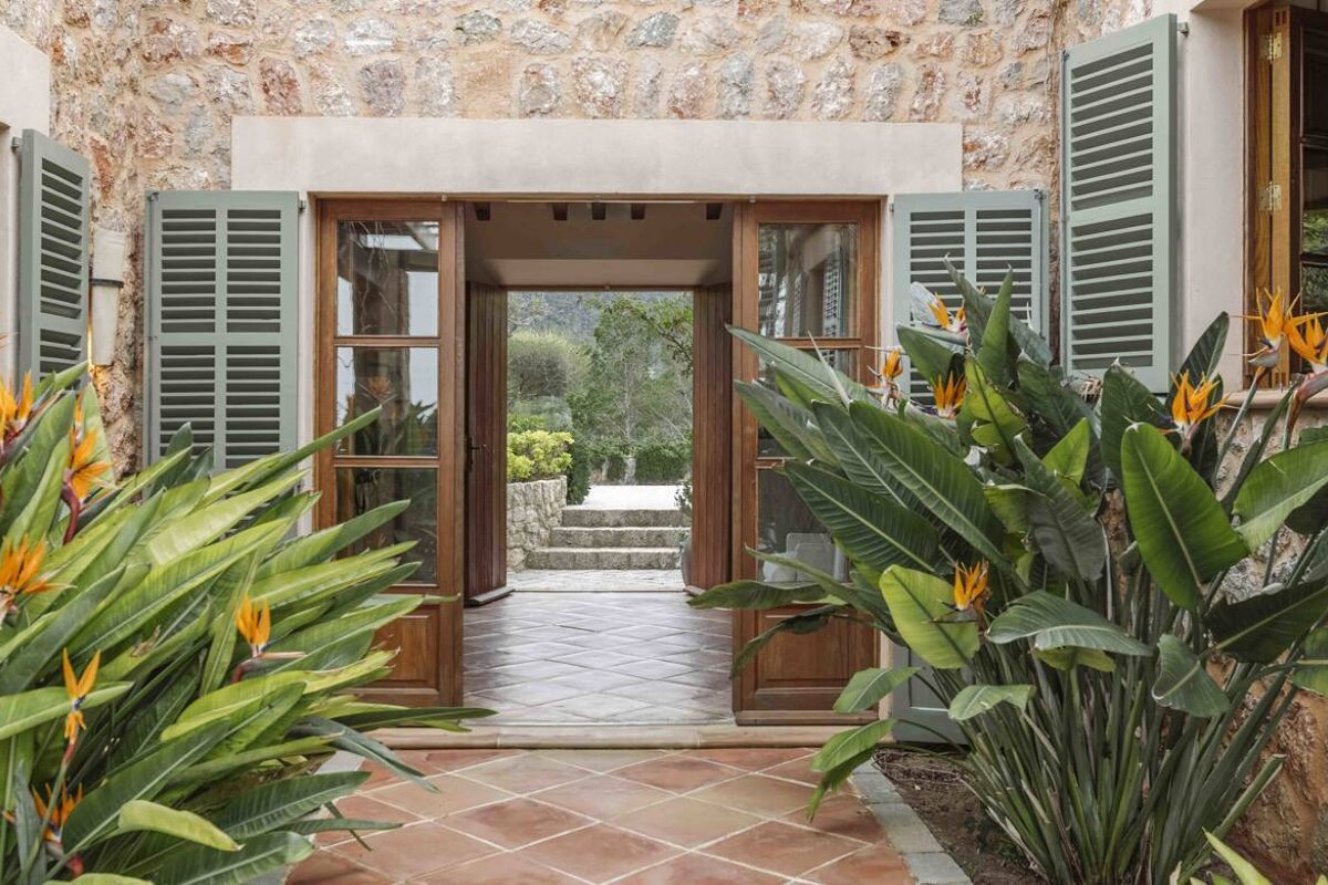 A house with green shutters is surrounded by plants
