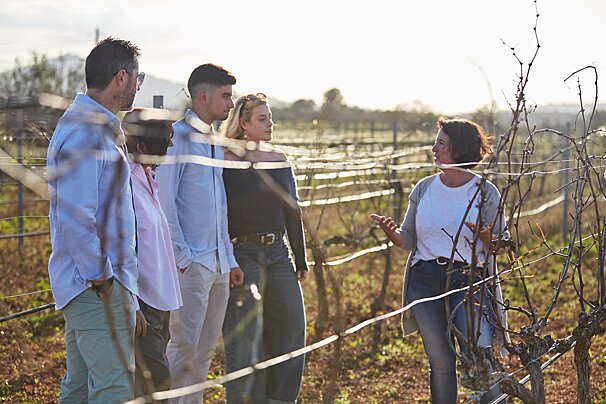 Miquel Oliver Vineyard