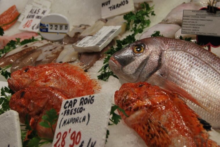 Juan Carlos Moll - Manager at Mercat de l'Olivar