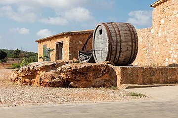 Bodegas Angel Vineyard, Santa Maria del Cami