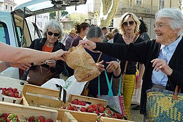 Carpentras Market