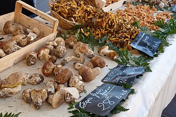 Mushrooms at the local market in Autumn
