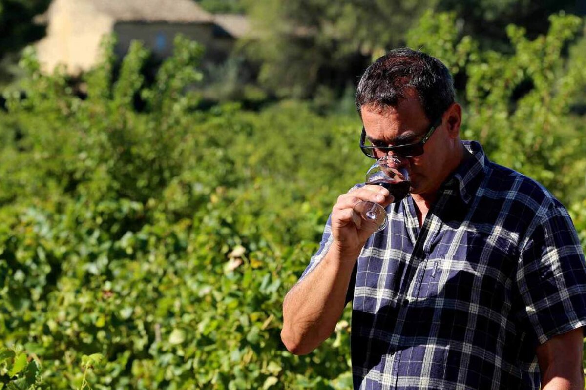 Wine tasting in the vineyards of La Milliere