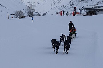 huskies in val disre