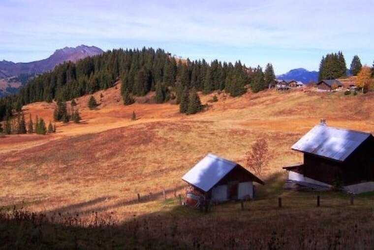 a picture of a fields and small farm huts