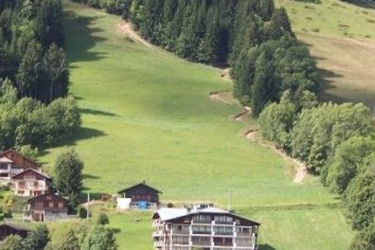 a picture of a field on a hillside with a mountain bike trail at one side