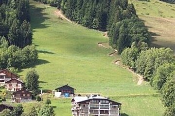 a picture of a field on a hillside with a mountain bike trail at one side