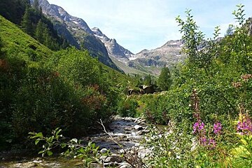 An image of a hiker in the Chamonix Mont Blanc valley
