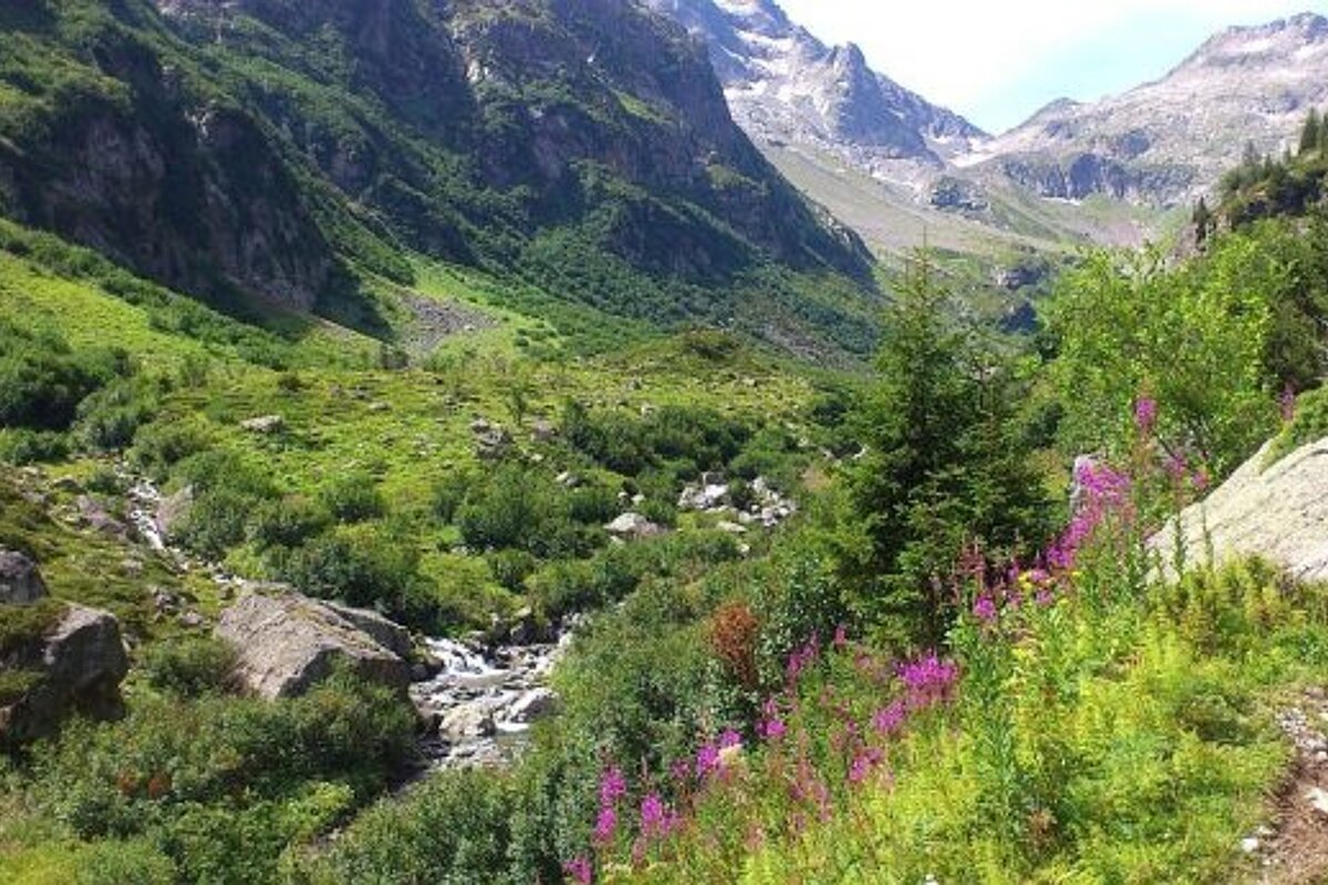 An image of a hiker in the Chamonix Mont Blanc valley
