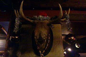 An image of a moose head and christmas decorations in an apres-ski bar in Chamonix Mont Blanc