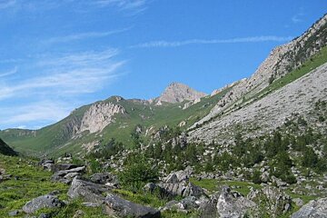 Image of the mountains in the summer with some rocks on and trees and a blue sky