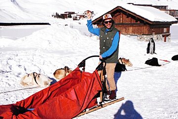 an image of a husky dog sled ride