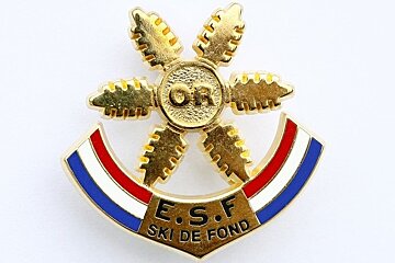 an image of gold star badge esf