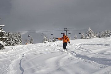 Powder under the Crozat chair