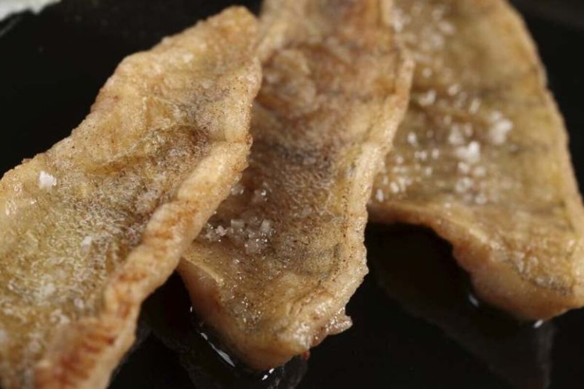 a picture of some fish fillets taken close up on a plate